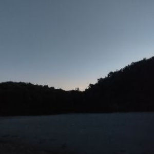 Meet your Posher, Brady